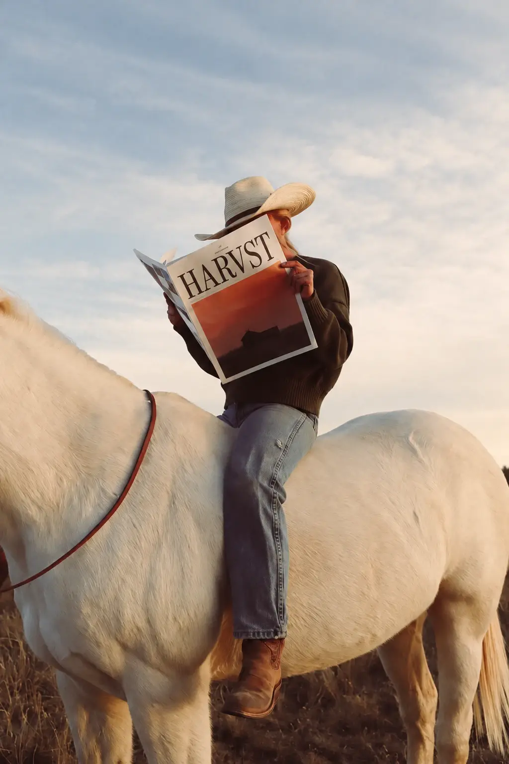 Reiterin mit Cowboyhut auf einem weißen Pferd liest das HARVST Magazin